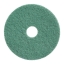 Wecoline | Bright 'n Water | Vloerpad | 12 inch | Groen | 2 stuks